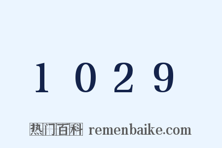 1029是什么意思的图片